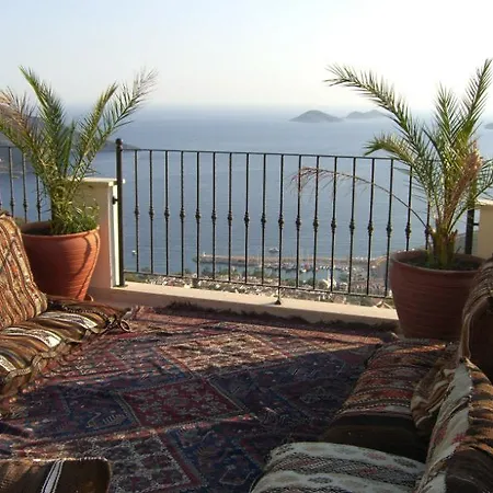 Vanilla * Kalkan